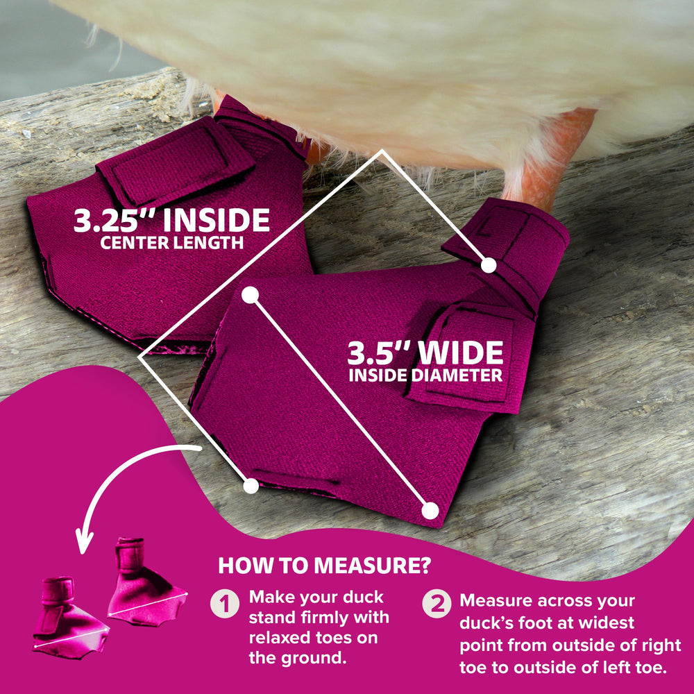 Birdy Bootie pink cushioned fit supports comfort during long outside sessions.
