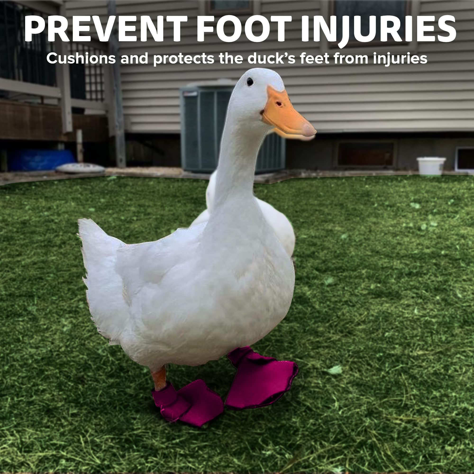 Birdy Bootie pink nylon-covered neoprene top emphasizes rugged durability for daily wear.