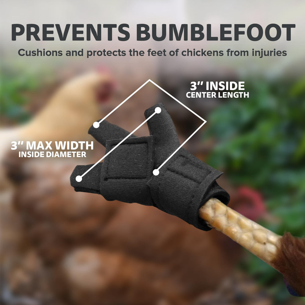 Birdy Bootie red on birds foot supports healing and mobility.