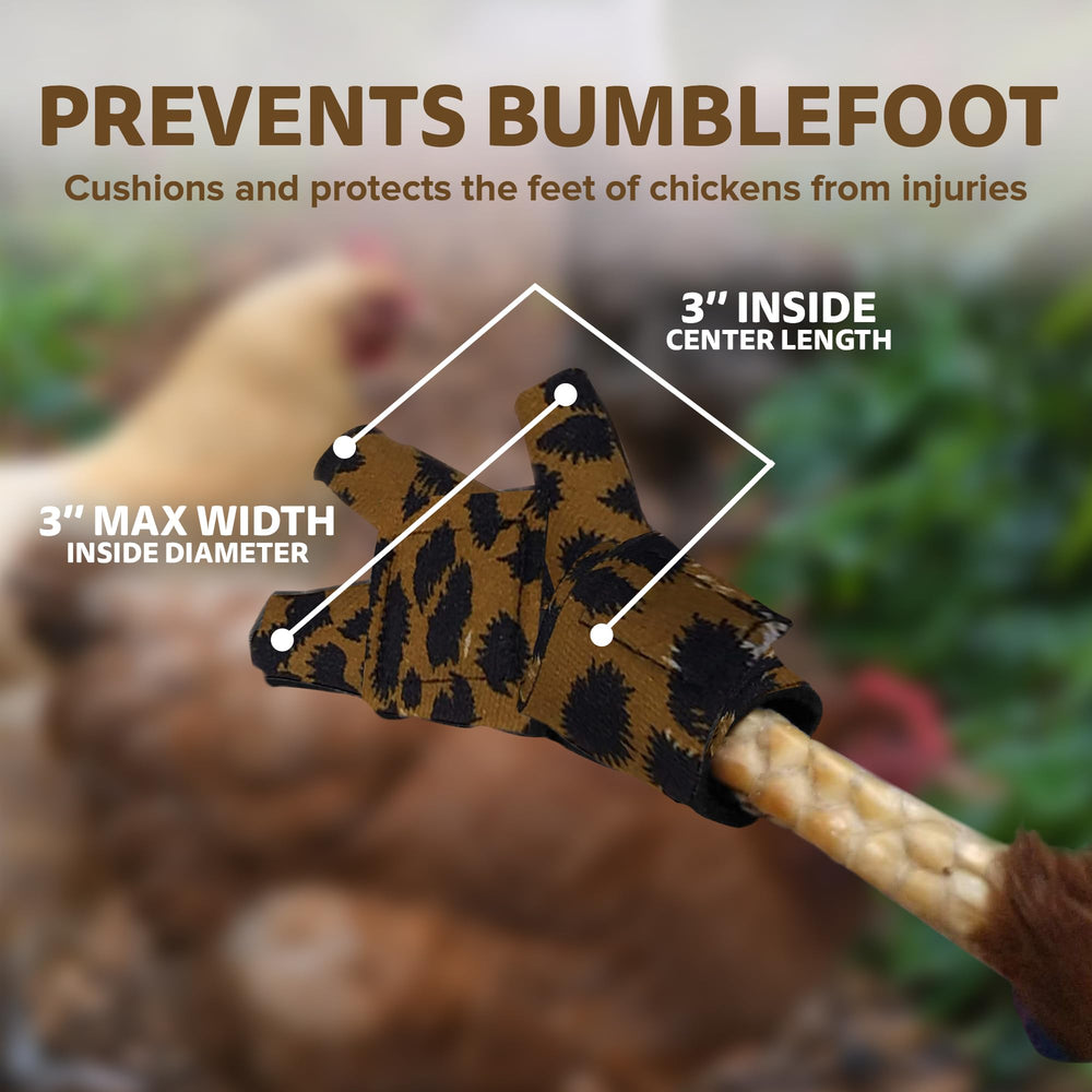 Birdy Bootie red version showcases vibrant color options for easy bird identification.