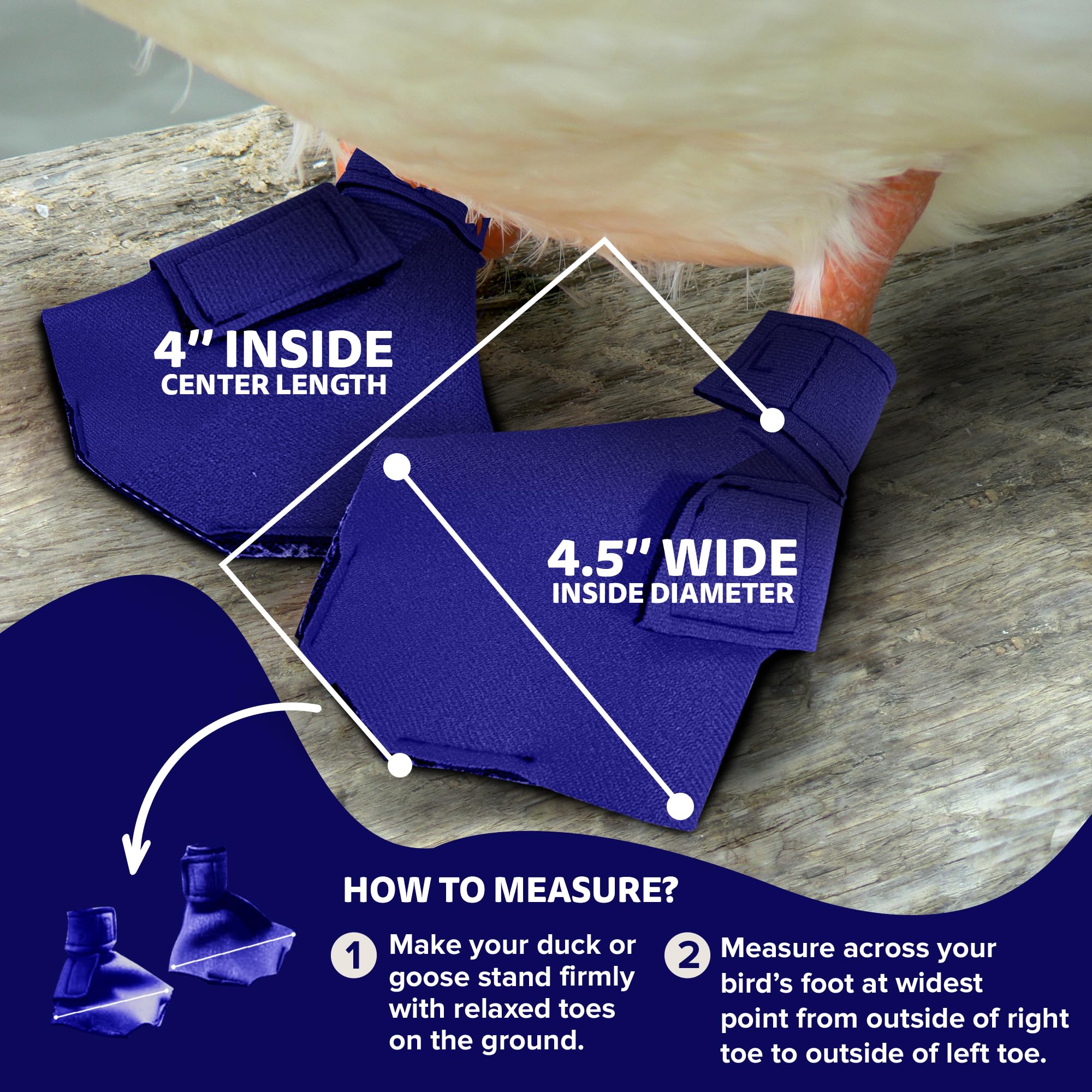 Birdy Bootie sizing-note close-up reminds measure before ordering.