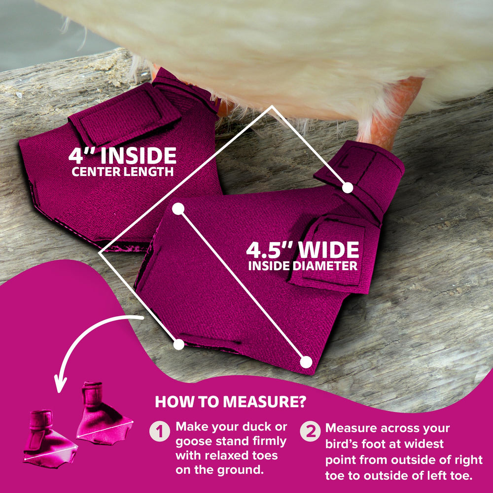 Birdy Bootie nail-care tip shows how clipping helps booties last longer.