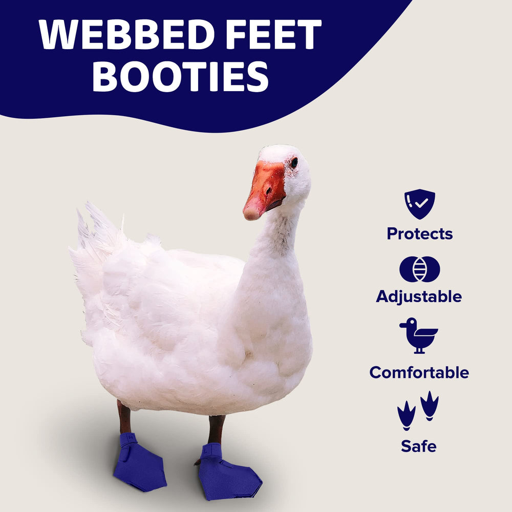 Birdy Bootie wound-shielding view demonstrates protection for injured feet.