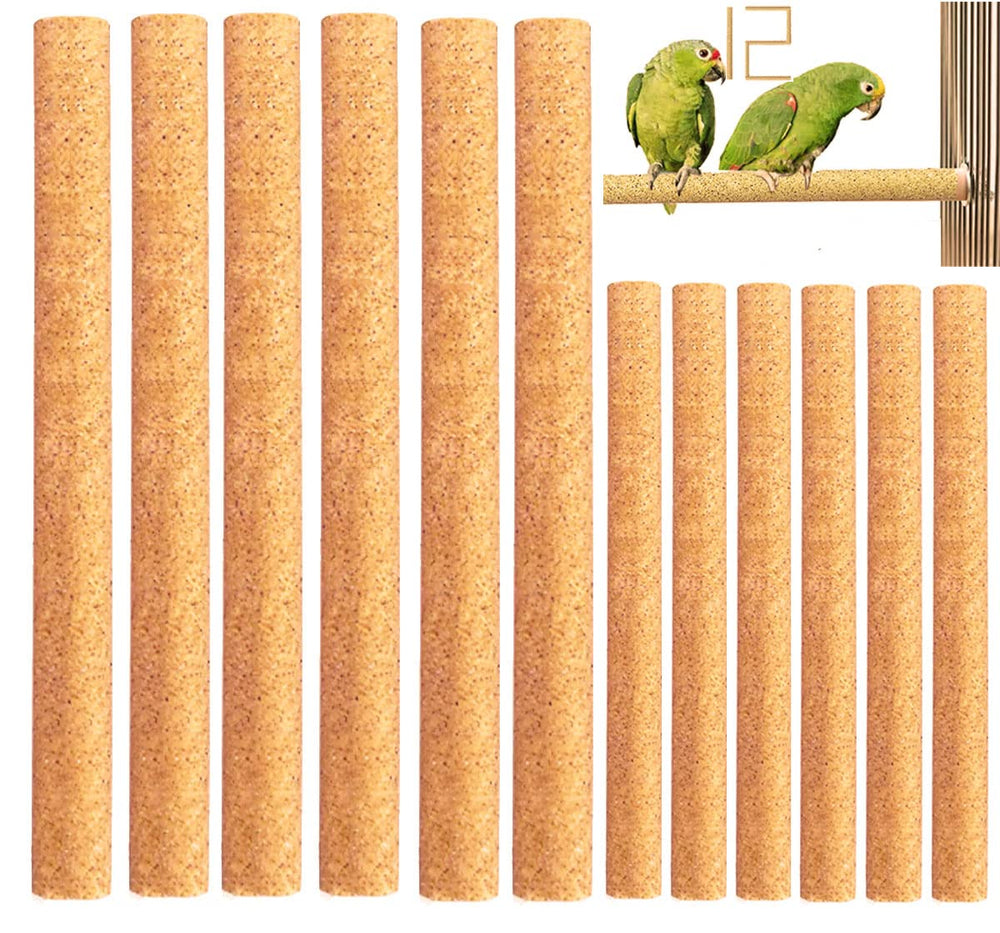 Birheatry sand perch cover 10-inch length closeup highlighting natural beak and nail polishing.
