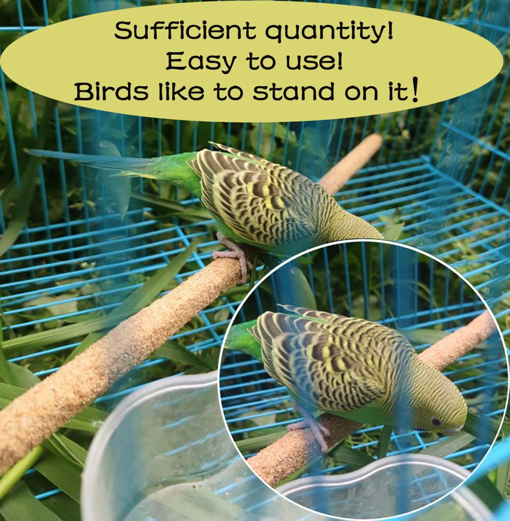 Parakeet using Birheatry perch cover to polish beak and claws