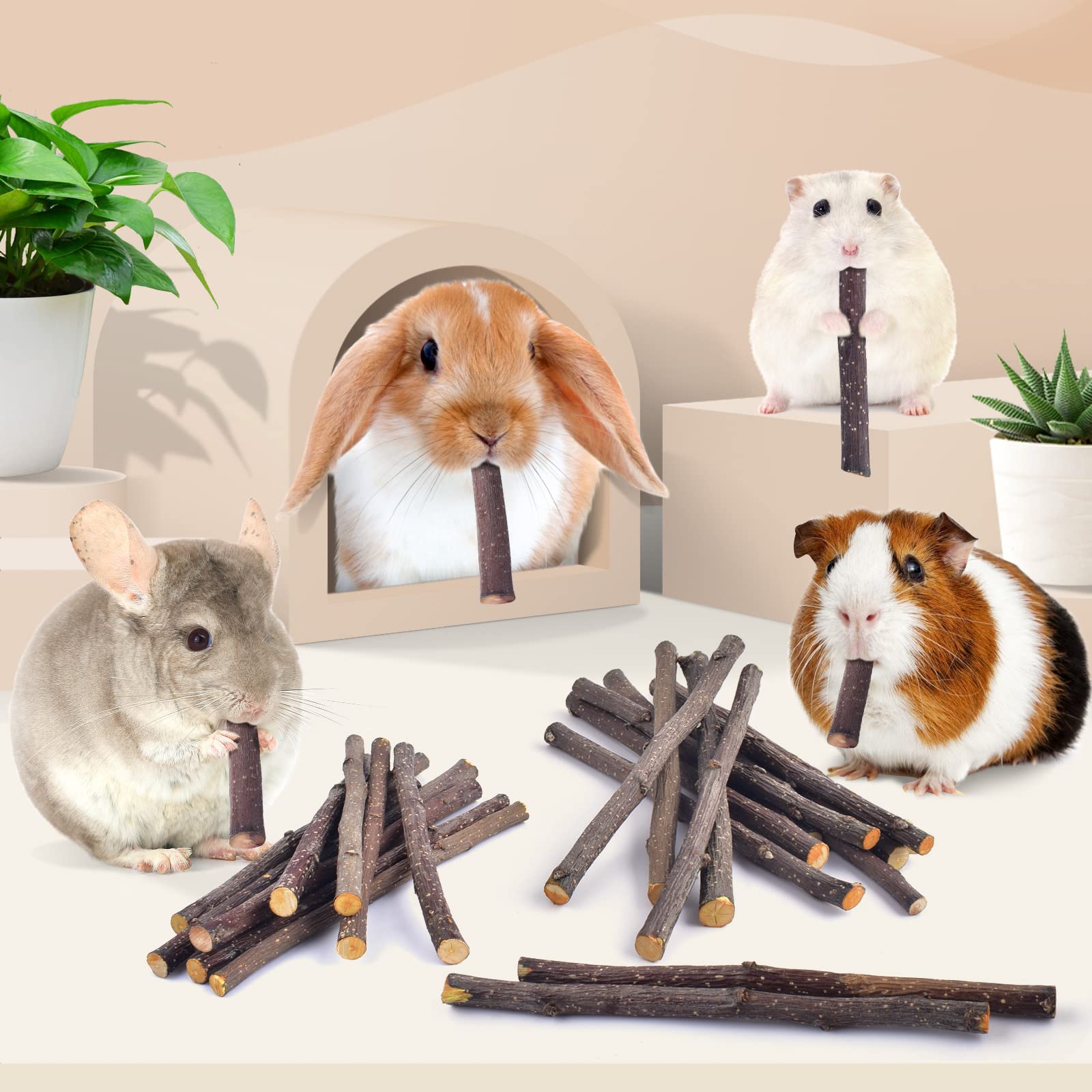 Bissap Apple Sticks guinea-pig-treat, durable wood for grinding and play.