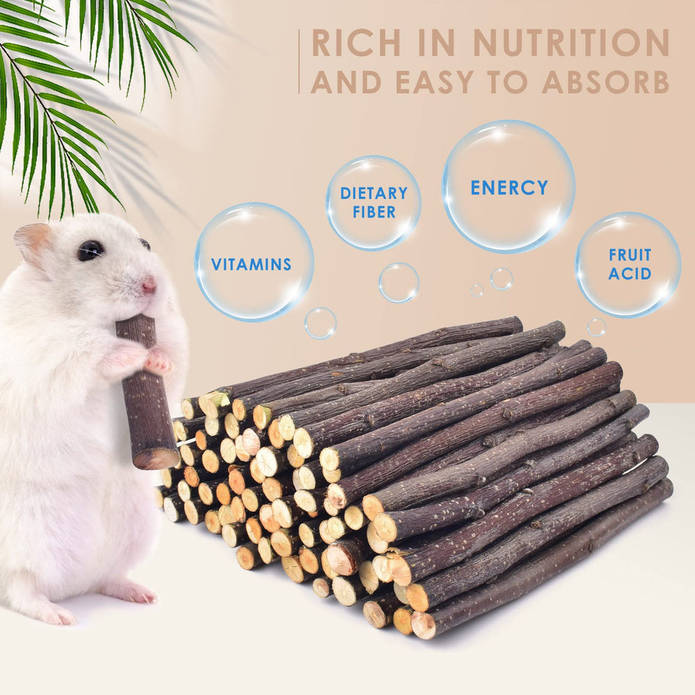 Bissap Apple Sticks rabbit chew shows safe nibbling for rabbit teeth.