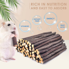 Bissap Apple Sticks rabbit chew shows safe nibbling for rabbit teeth.