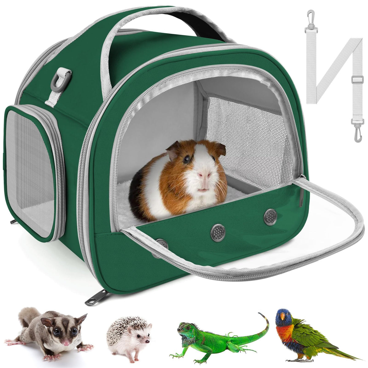 Bissap Bearded Dragon Travel Carrier with transparent window for easy monitoring on the go.