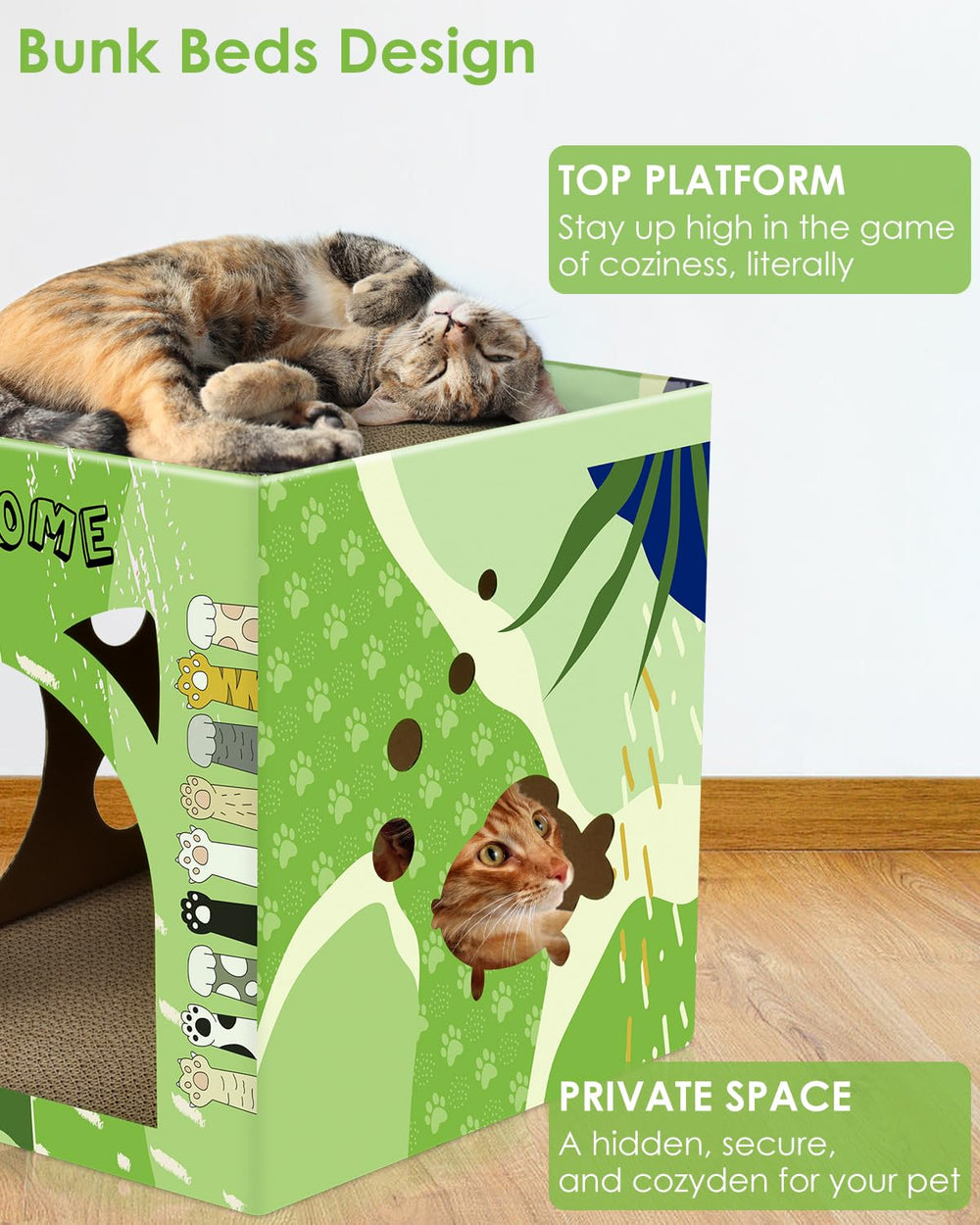 Bissap cat cardboard house assembly video guides tool-free setup.