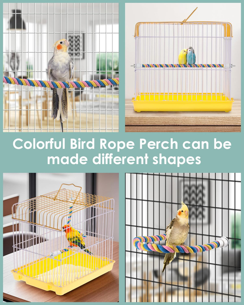 Bissap Conure Toys small-bird-enrichment showcases compact design for cockatiels and parakeets.