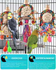 Bissap parrot-chew-toy foraging set ideal for cockatiels and lovebirds