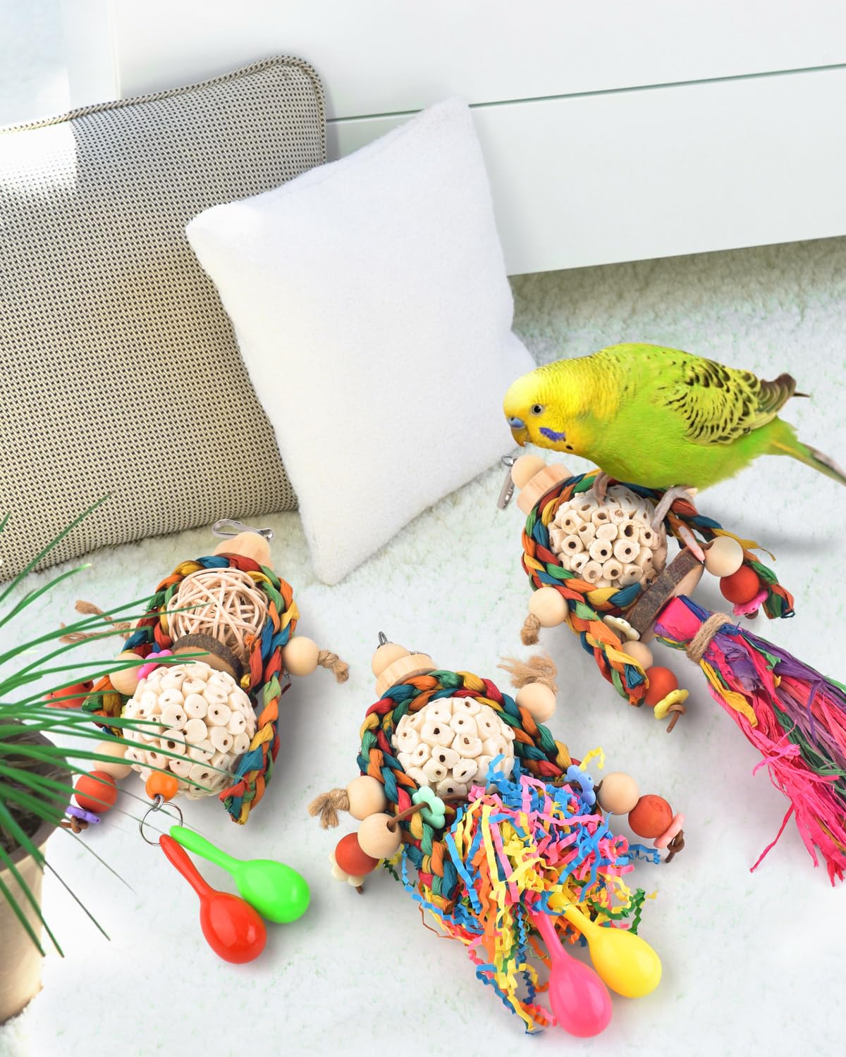 Bissap three-piece toy package suits small to mid-sized parrots