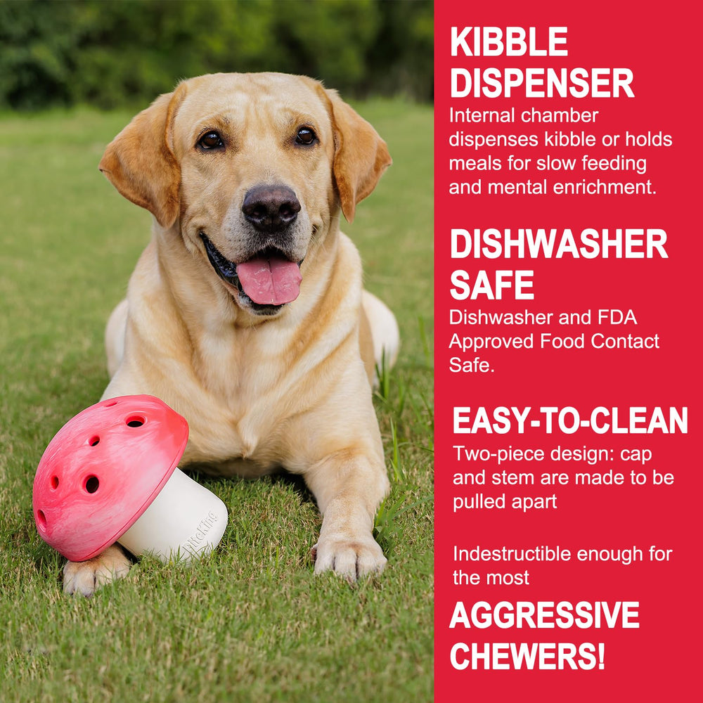BiteKing dishwasher-safe design simplifies cleaning after busy days for pet owners.