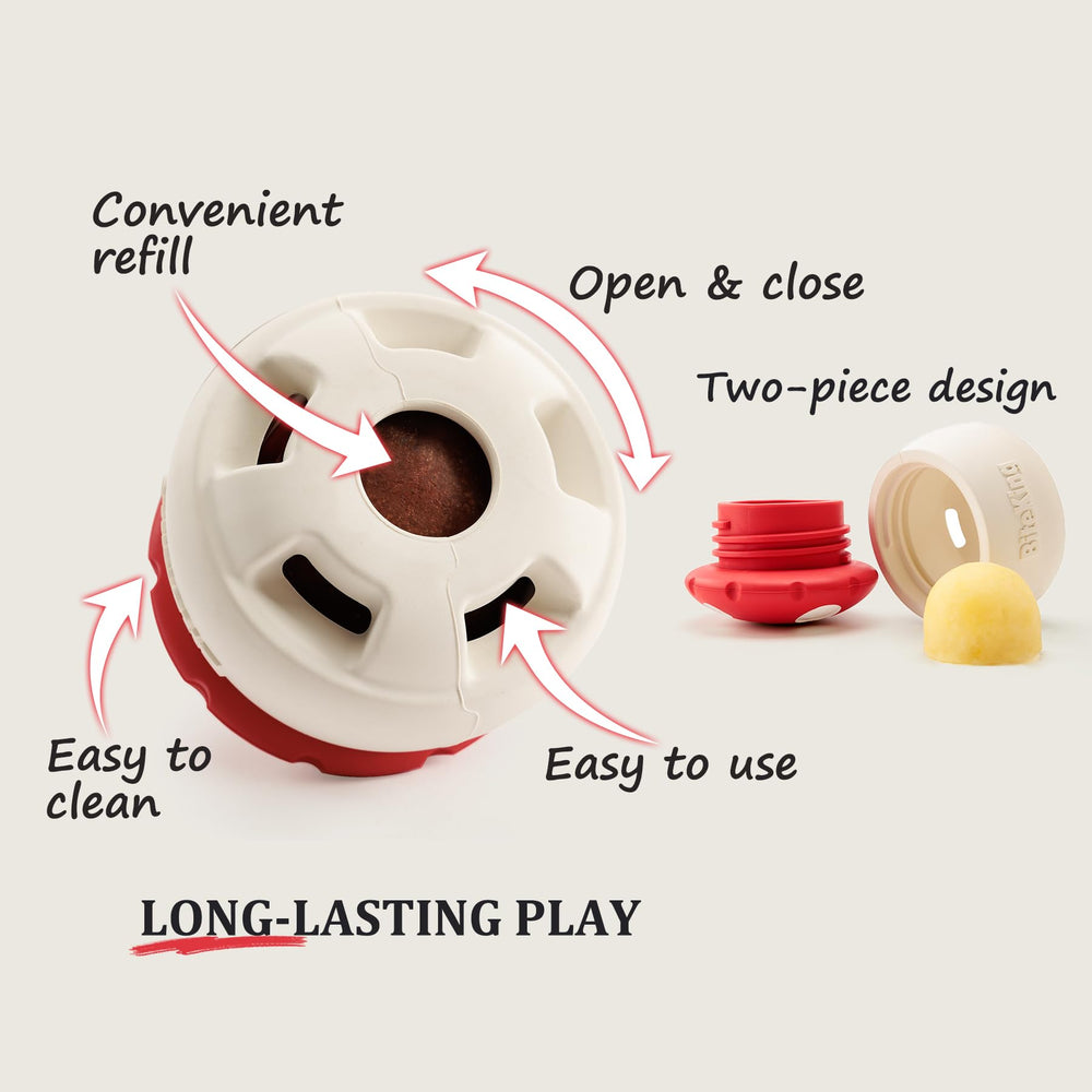 BiteKing dishwasher-safe toy for quick cleanup after play sessions.
