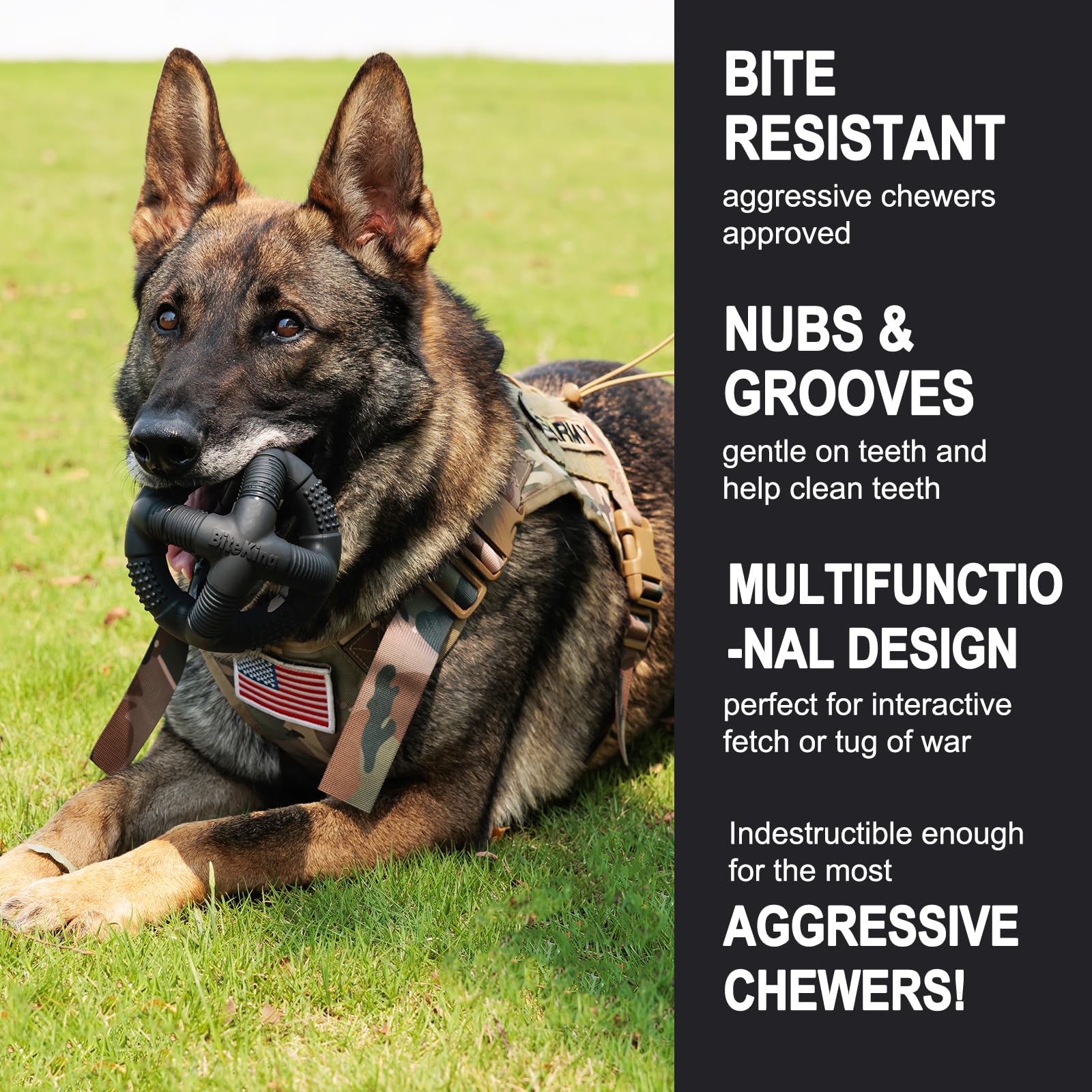 BiteKing natural rubber dog balls lifetime-replacement branding highlights safety-focused durability promise.