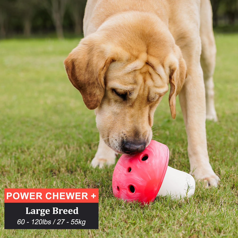 BiteKing slow-feeder design helps keep dogs engaged during meals.