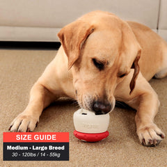 BiteKing treat-dispensing ball engages dogs during play.