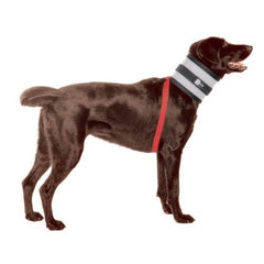 BiteNot collar front view highlights unobstructed vision and comfortable daily wear.