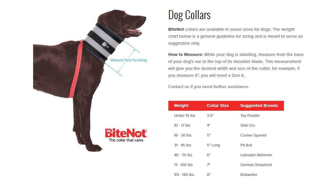 BiteNot collar side view demonstrates secure fit for feeding and drinking.