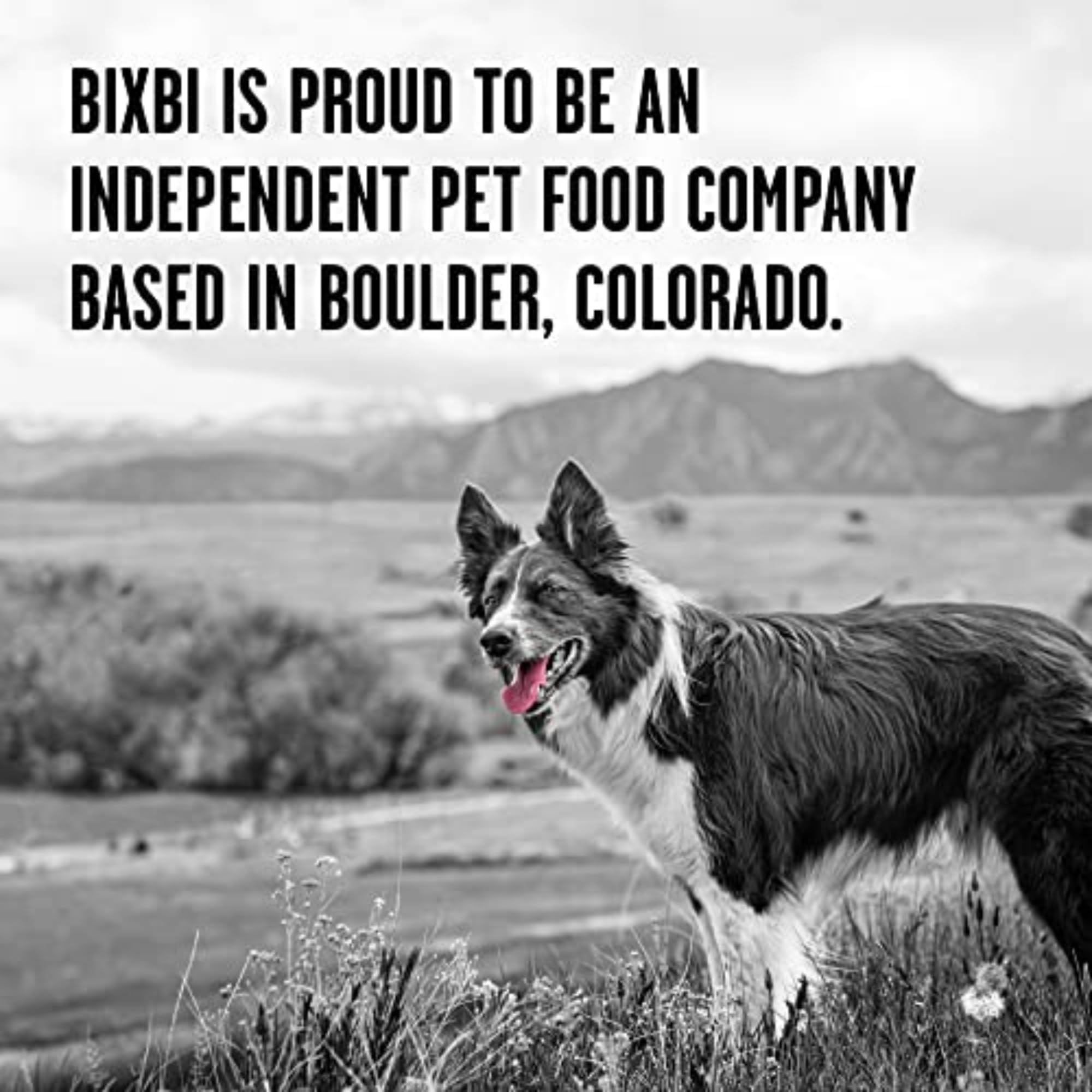 BIXBI Rawbble 94% meat and organs delivers protein-rich nutrition.