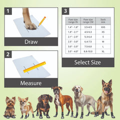 Bixie senior dog socks support stability during recovery.