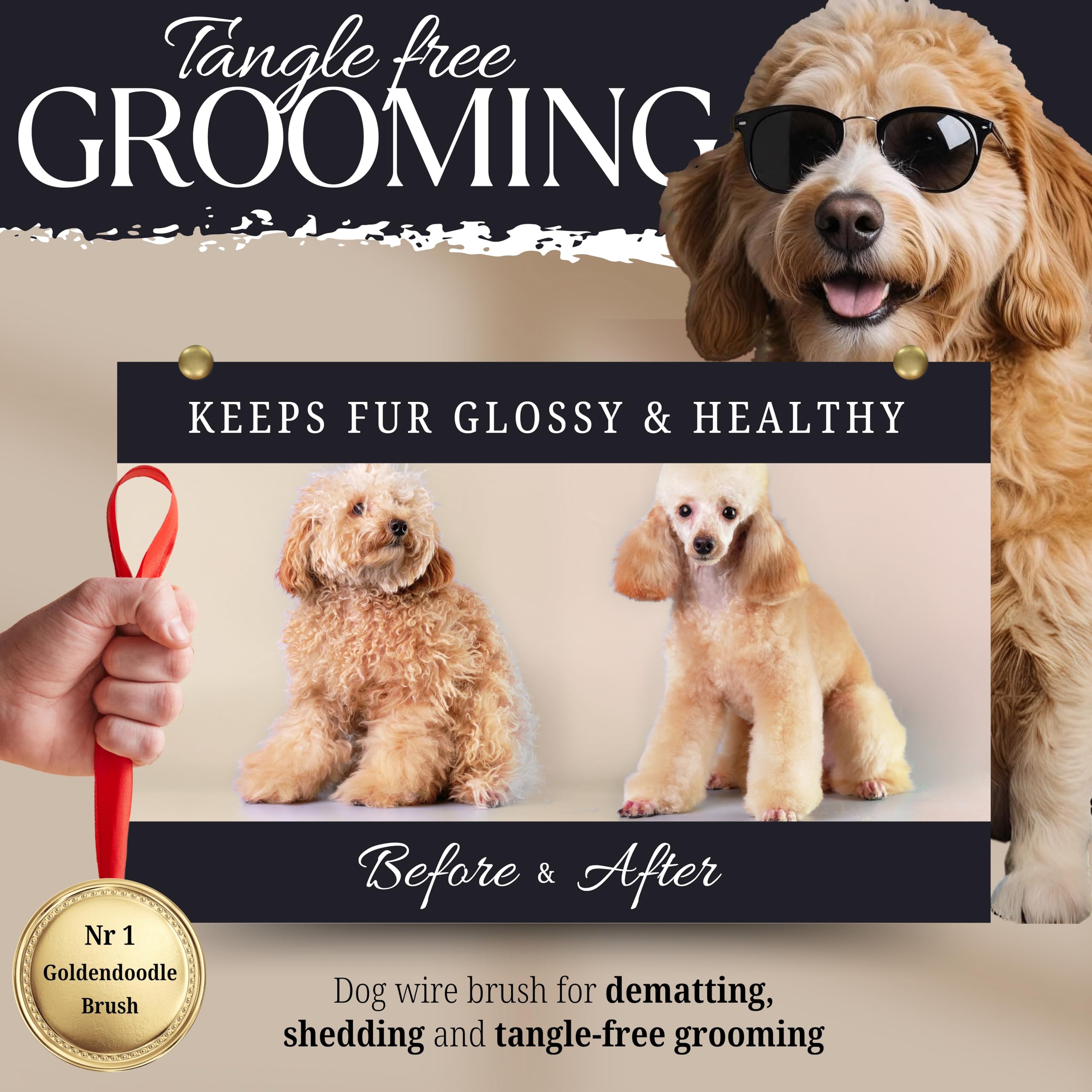 Bixy Pixy dog slicker brush with extra-long pins for deep coat detangling on long-haired breeds.