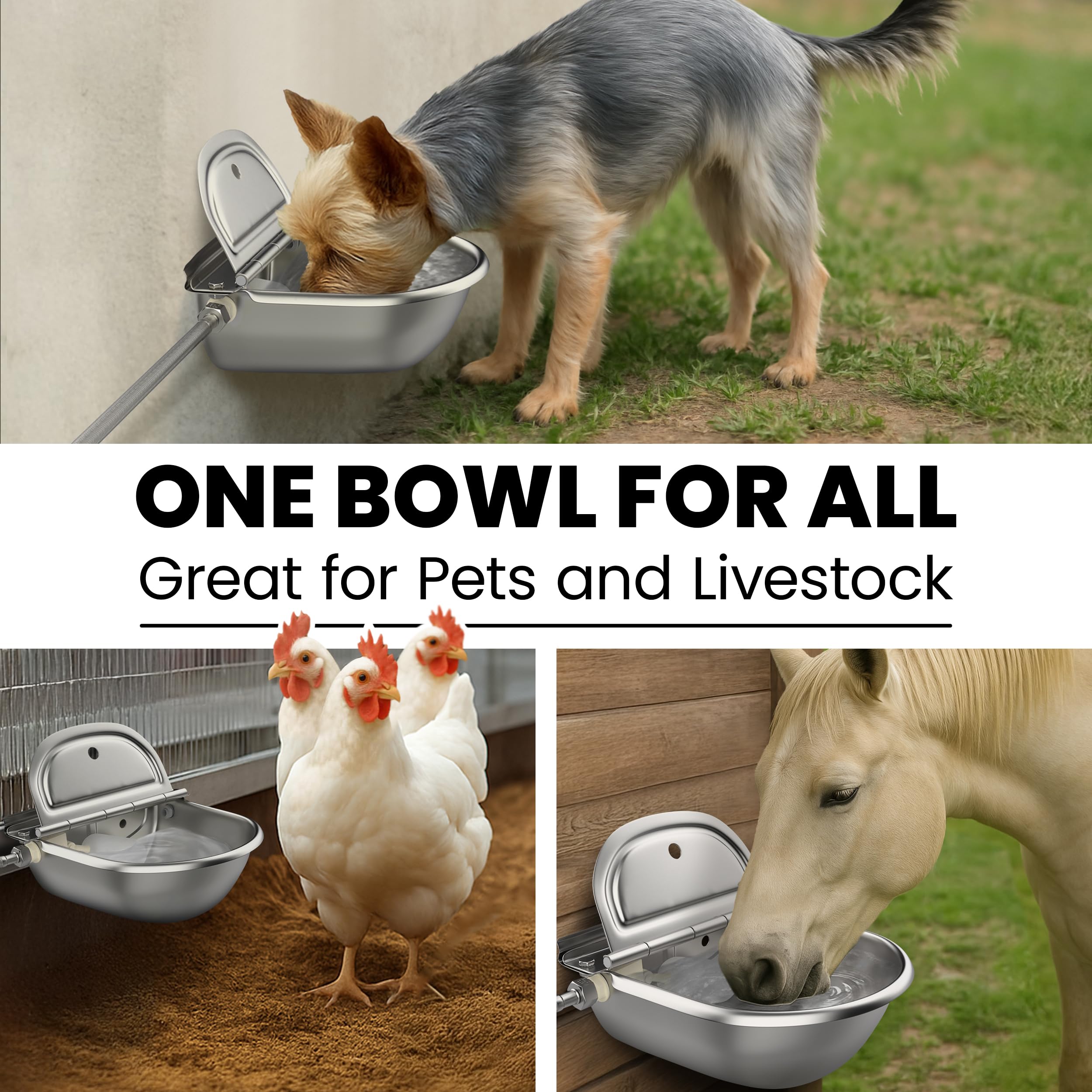 Bkhdesign Animal Water Dispenser auto-refill system ready for daily pet care.