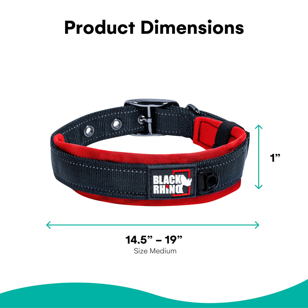 Black Rhino Comfort Collar reflective stitching boosts visibility during early morning walks.