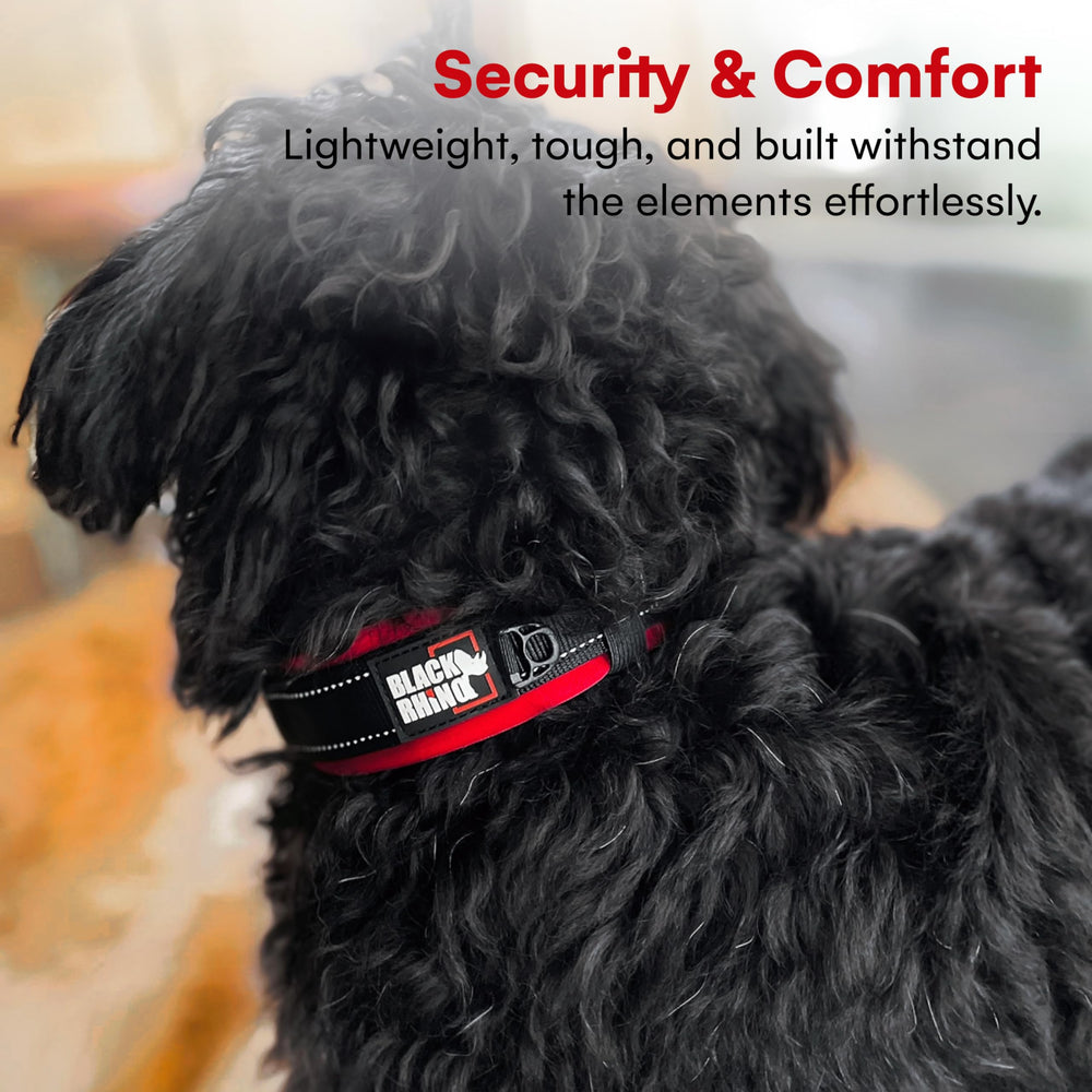 Black Rhino Comfort Collar weatherproof fabric resists elements for outdoor adventures.