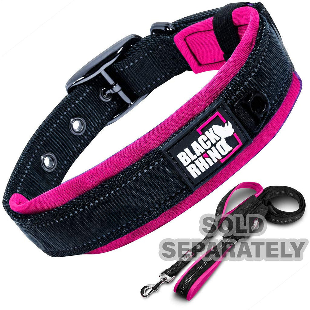Black Rhino colorway collar on dog during outdoor hike