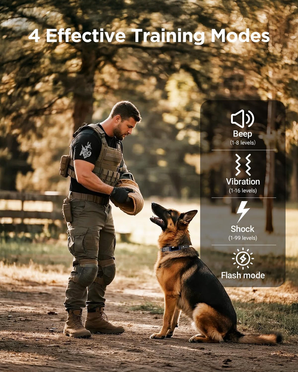 BLACKDOG night-visibility-flashlight captures dual lighting for safe night walks.