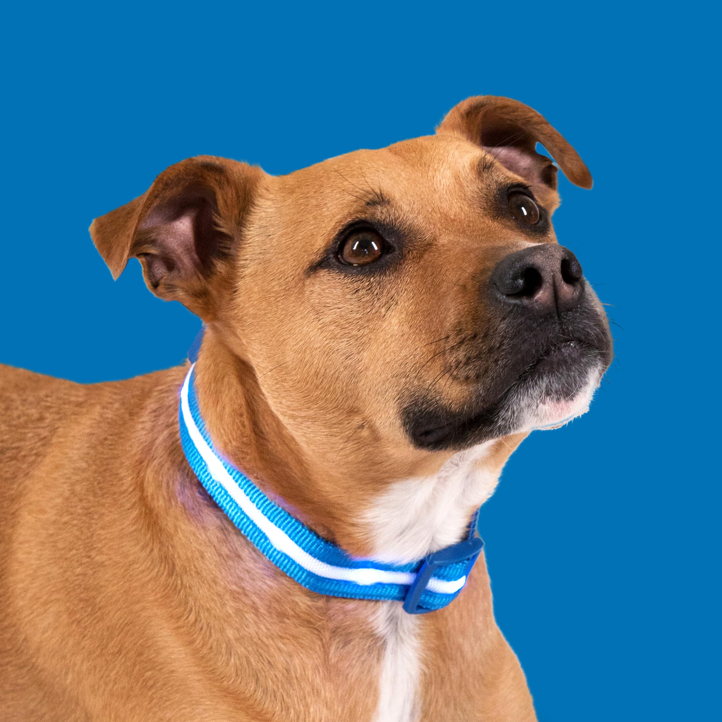 Blazin blink modes offer fast or slow flashing for attention and safety.