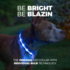 Blazin LED dog collar offers 1,000 feet of visibility for safer outdoor adventures.