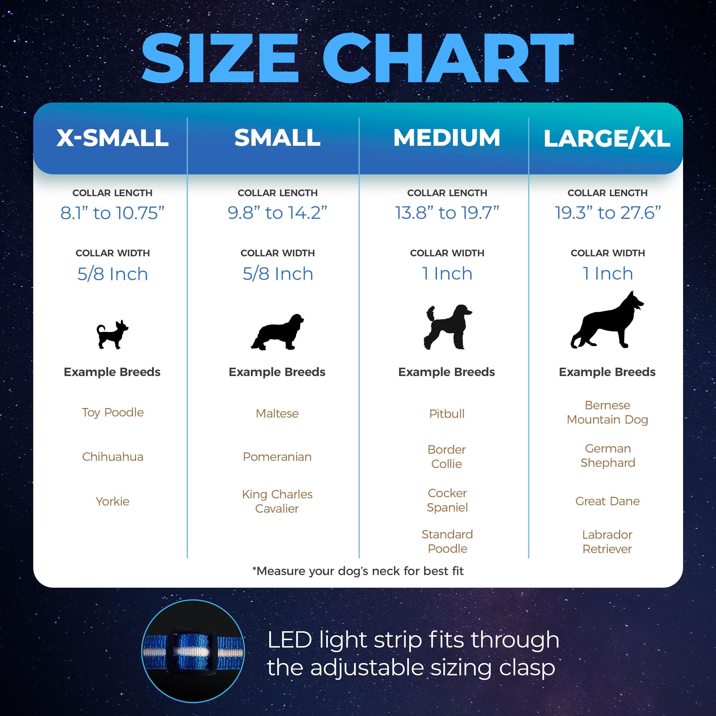 Blazin Light Up Dog Collar color options offer personality and easy identification.