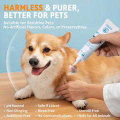 BlessMeet breathable wound barrier demonstrates clear, breathable film that shields wounds while promoting moist healing.