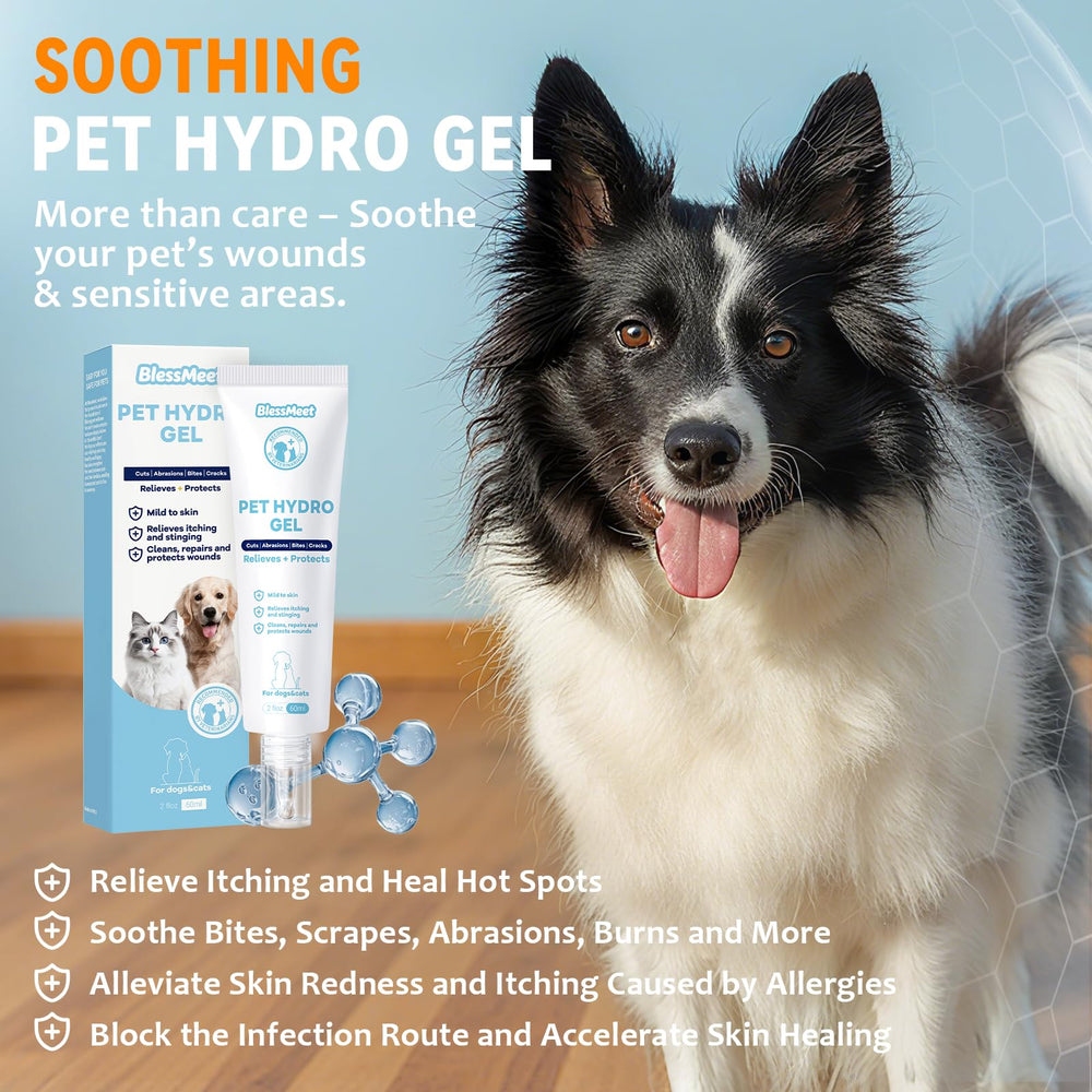 BlessMeet dog hot spot gel application shows easy, targeted treatment for itchy skin areas.