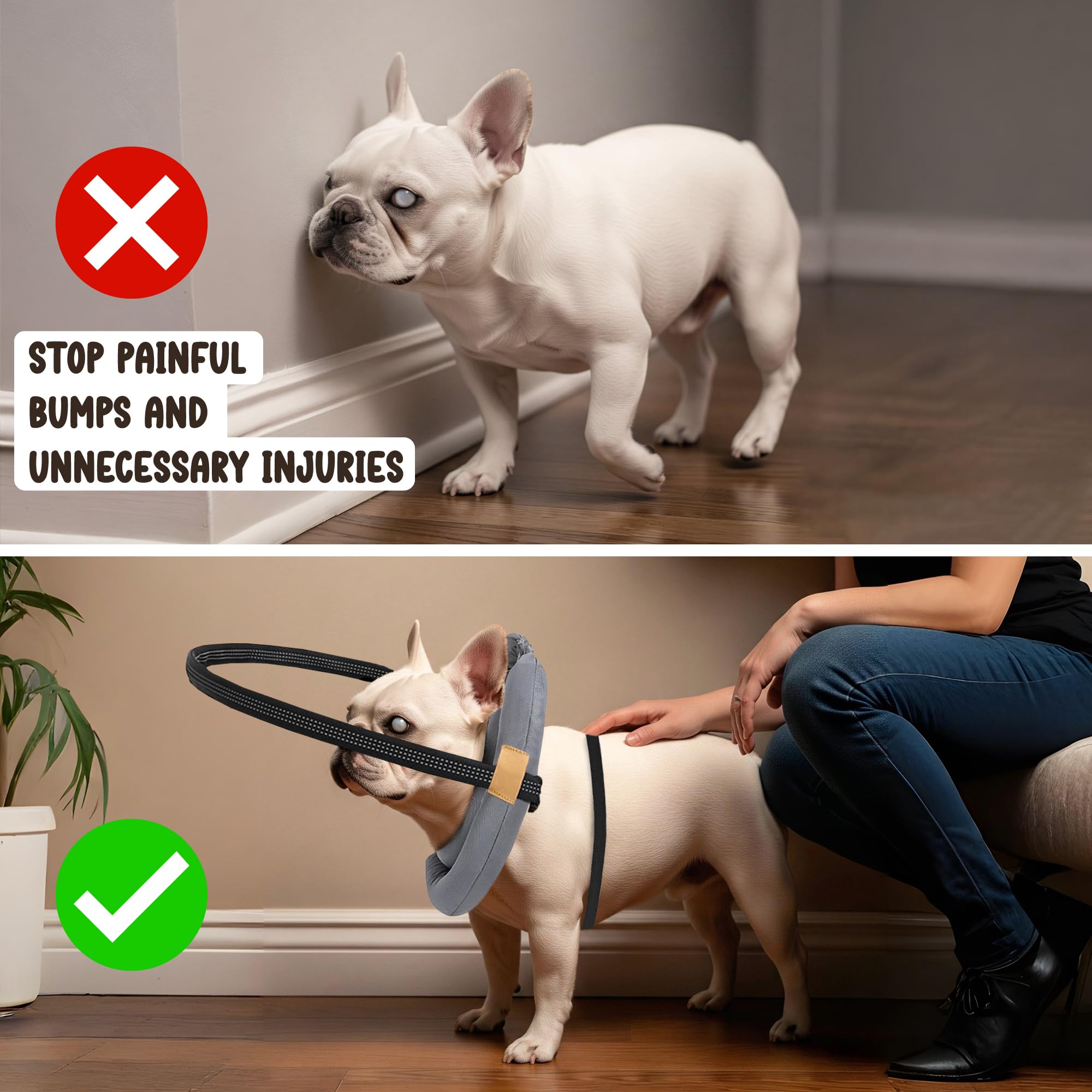 Blind Dog Bumper adjustable buckle ensures secure fit for different neck sizes.