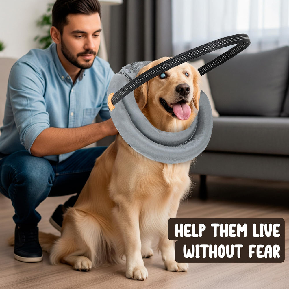 Blind Dog Bumper safe for daily use during eating, drinking, sleeping, and walking.
