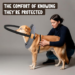 Blind Dog Bumper durable nylon fabric resists dirt and odors for easy care.