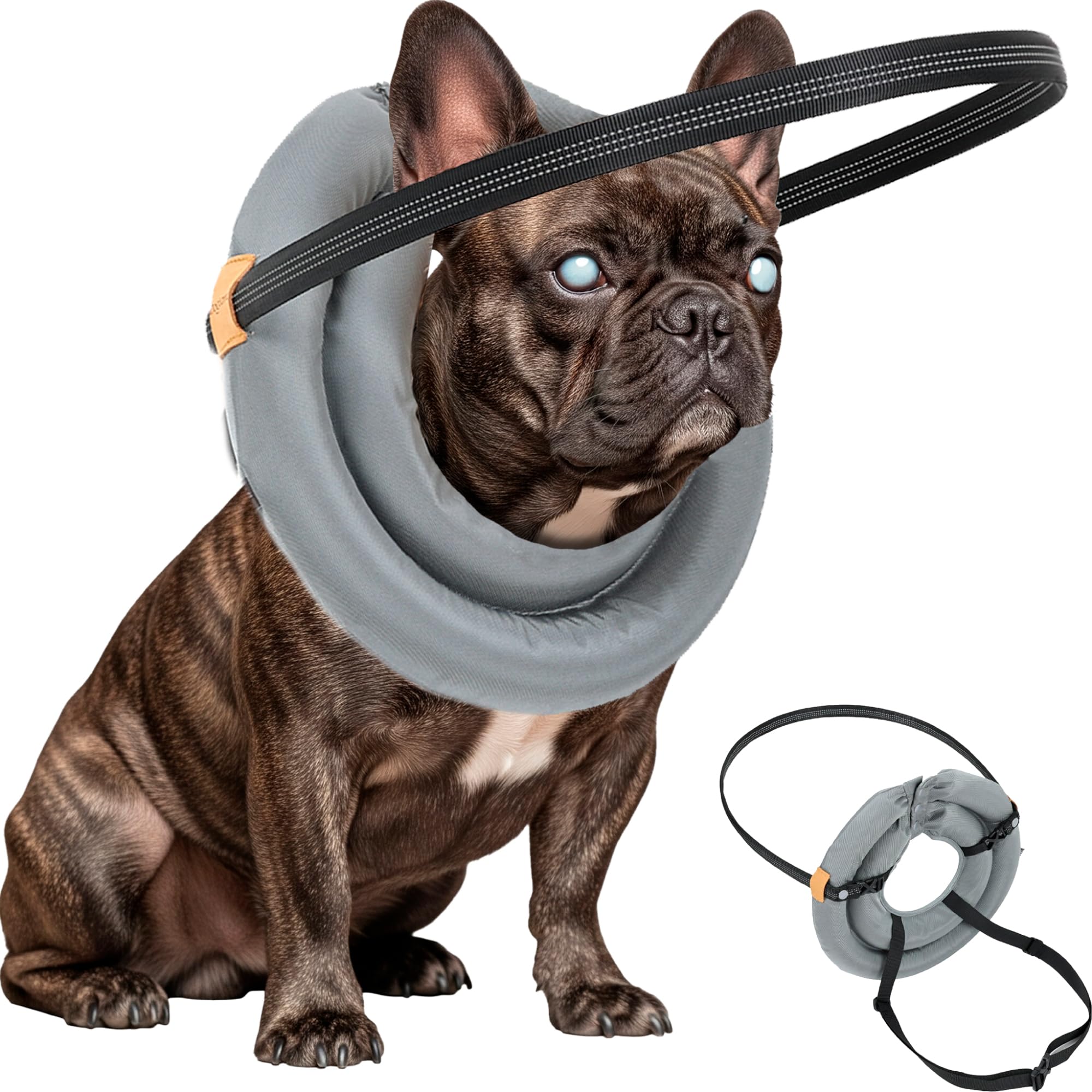 Blind Dog Bumper soft-knit halo helps navigate spaces with reduced collisions.