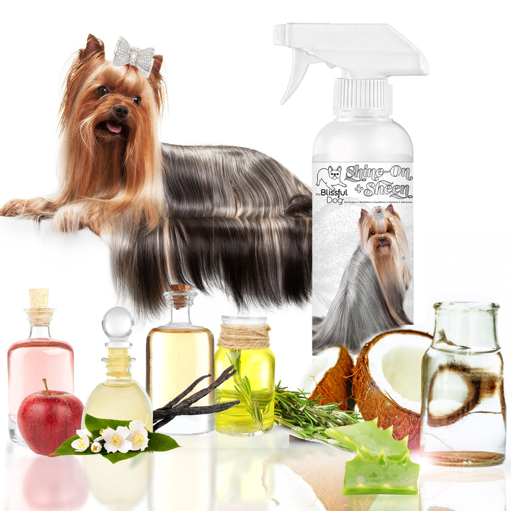The Blissful Dog Shine-On detangler-action demonstrates quick mat release during grooming.
