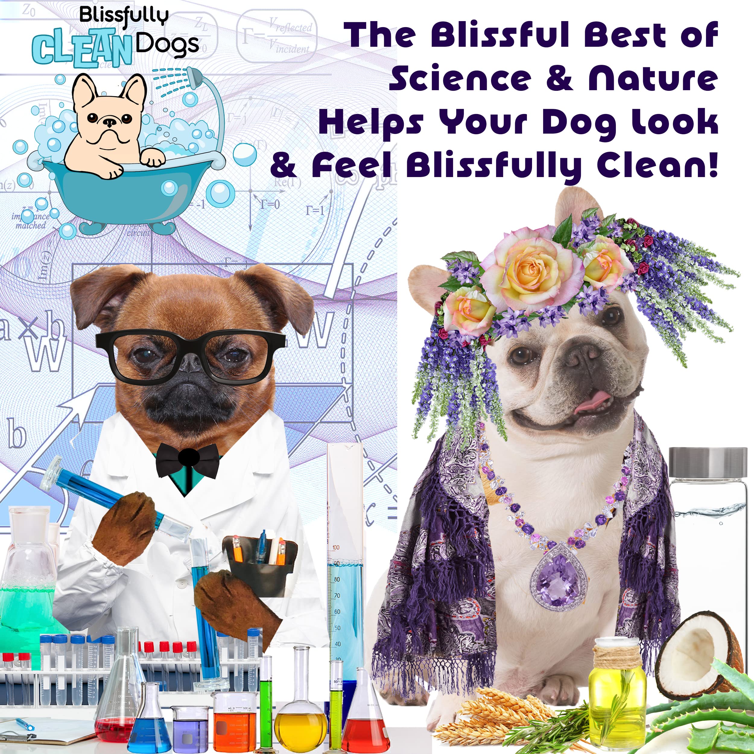 The Blissful Dog Shine-On natural-ingredients-rose-hips emphasizes nourishing botanicals.