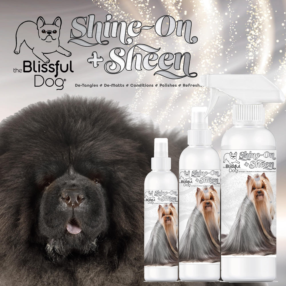 The Blissful Dog Shine-On sensitive-skin-label indicates gentle care for delicate pets.