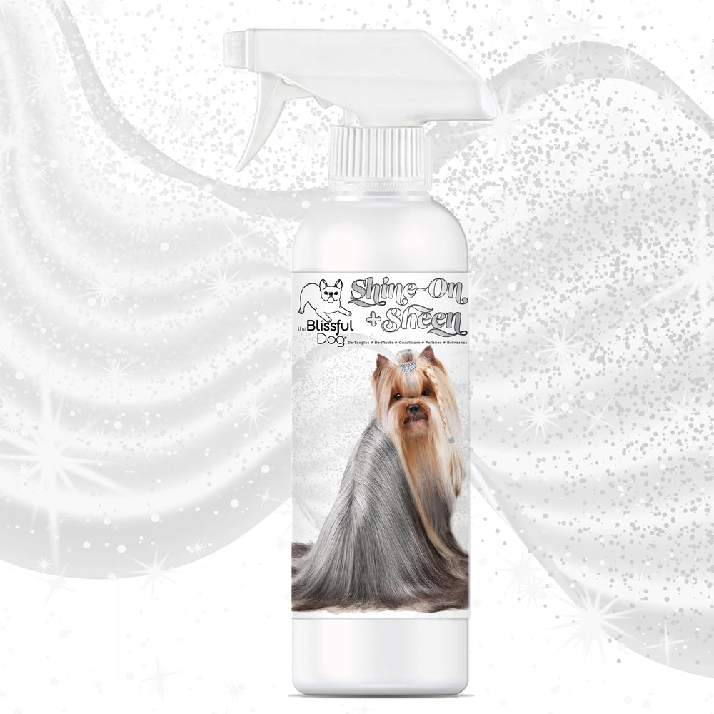 The Blissful Dog Shine-On spray-application shows quick detangling before brushing.