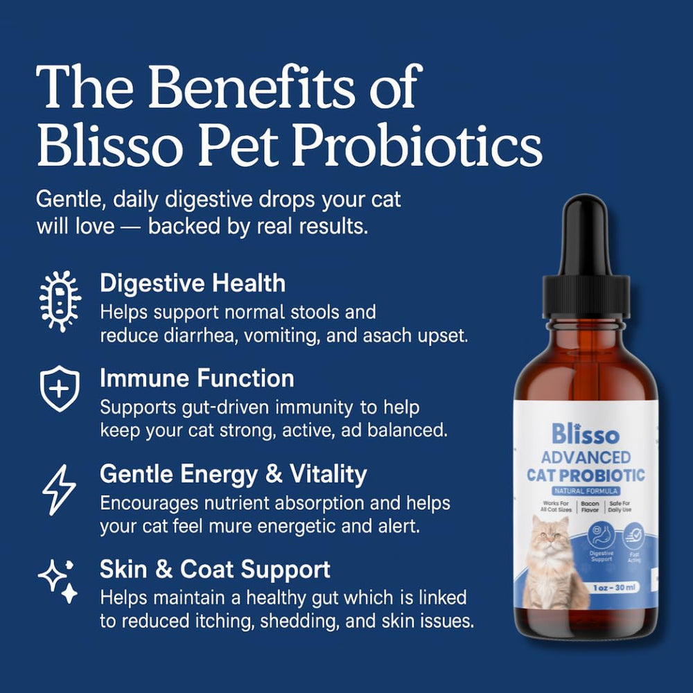 Blisso Pet Advanced Cat Probiotic Drops dropper for easy, accurate dosing