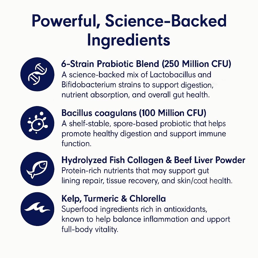 Blisso Pet Advanced Cat Probiotic Drops added to cat food for simple daily use