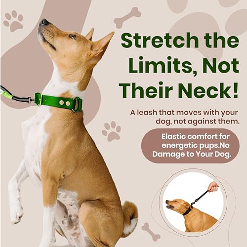 BLIVORRA dual leash 360 swivel reduces tangles for smooth two-dog walks