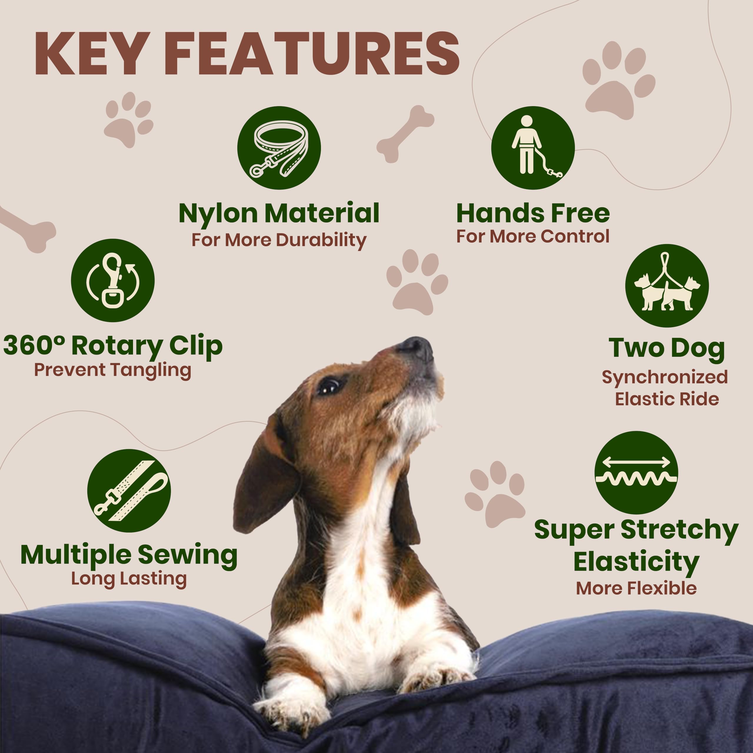 BLIVORRA walk jog hike usage shows versatility for active dog outings