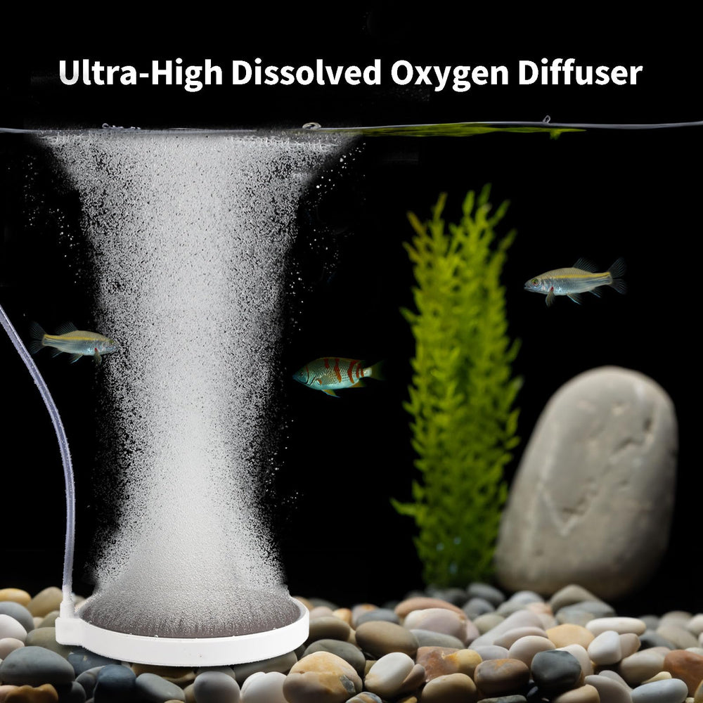 BLOTFISH suction cups secure the diffuser in place in tanks.
